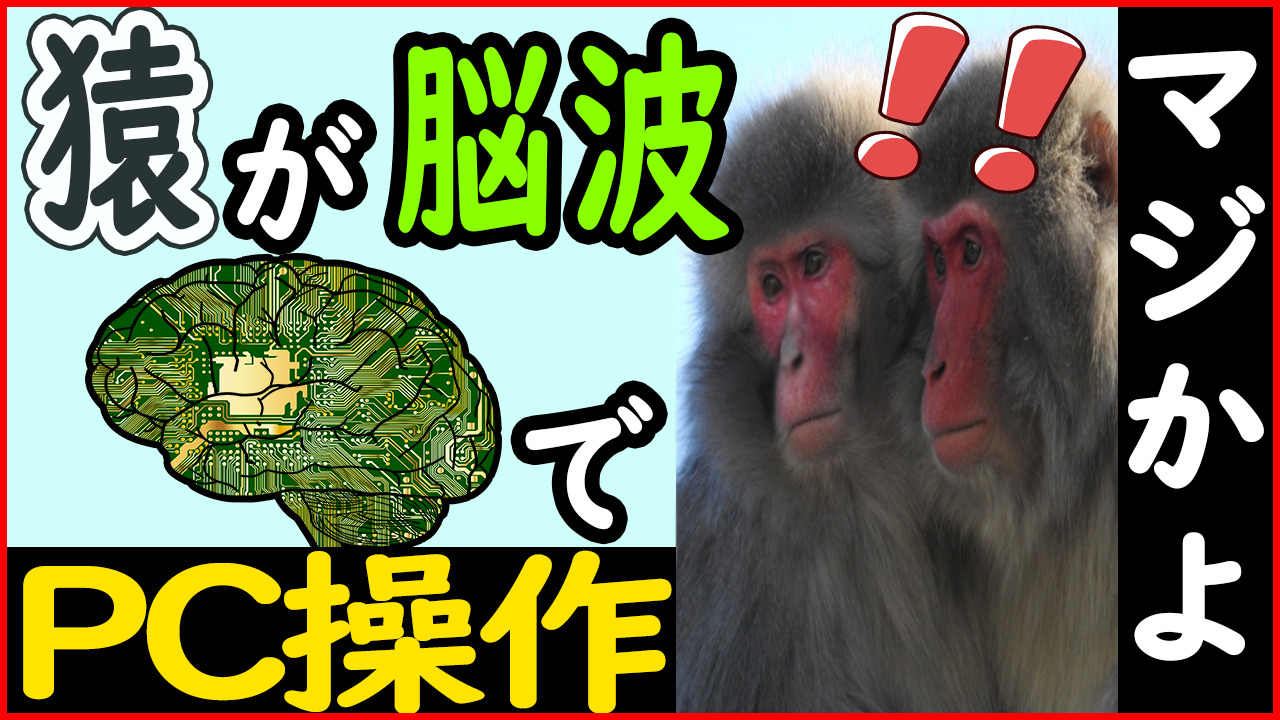 Neuralinkの動物実験 猿が脳波でゲームプレイ!?